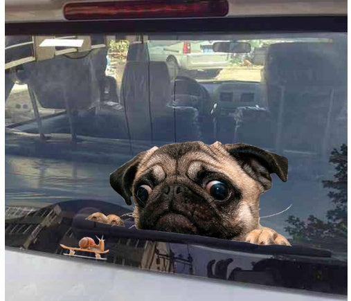 3D Pug Snail Car Sticker